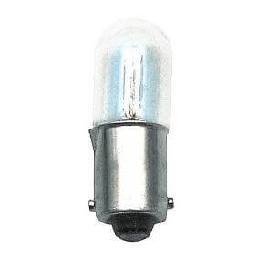 Light bulb with pin