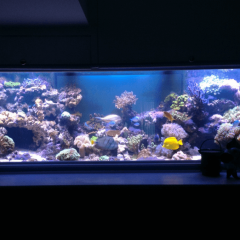 Как да направите LED осветление за аквариум?