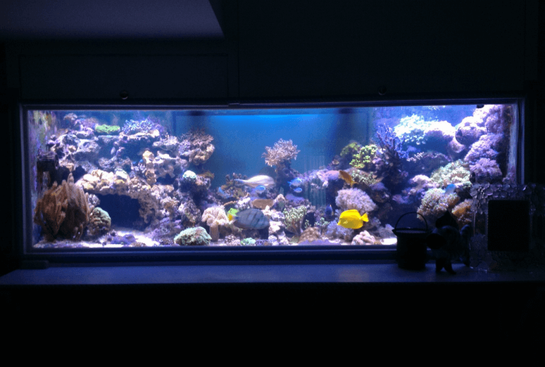 Modern underwater lighting