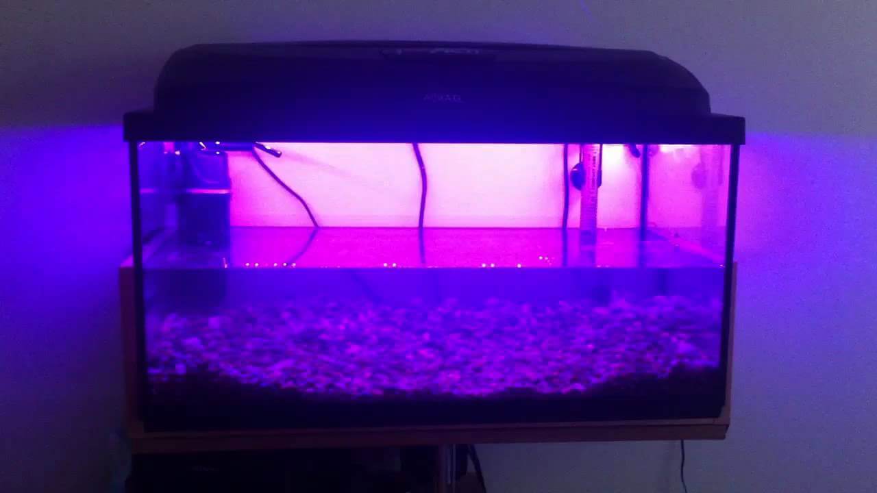 Underwater RGB light