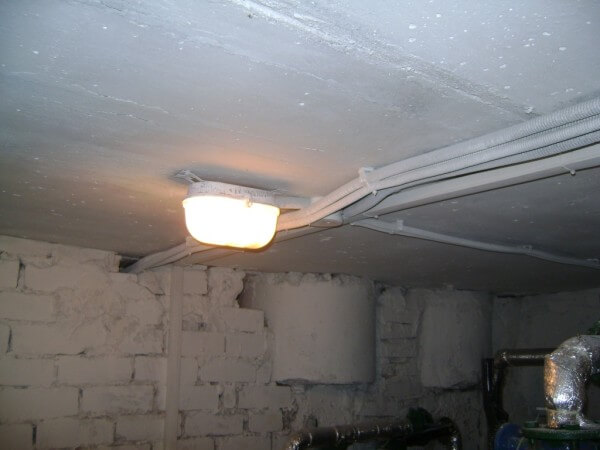 Light in the basement photo