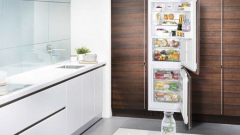TOP 10 built-in refrigerators in 2017