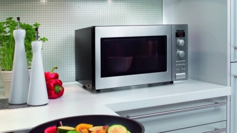 Rating of the best microwaves in terms of price and quality