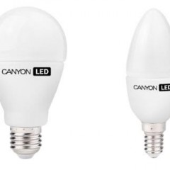 Canyon LED Bulb Overview