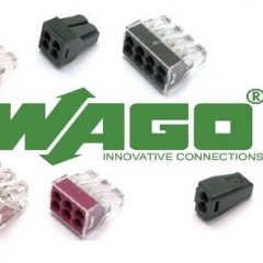 What are the WAGO terminals?