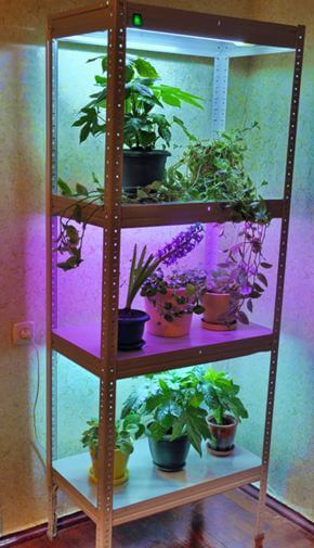 Illumination of indoor plants