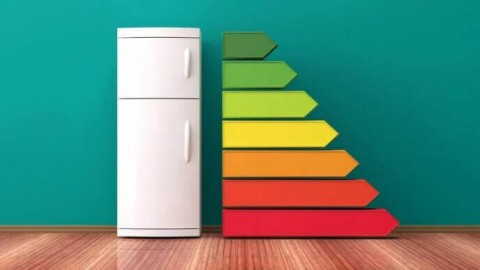 How much electricity does the refrigerator consume?