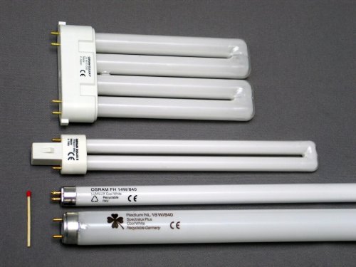 Appearance of fluorescent lamps